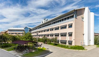 Västra Norrlandsgatan 11D