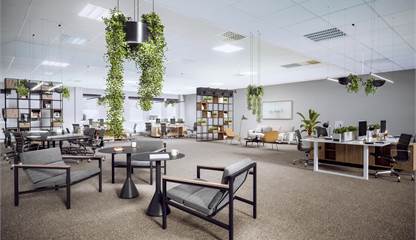 August Barks Gata 25