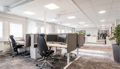 August Barks Gata 6 A